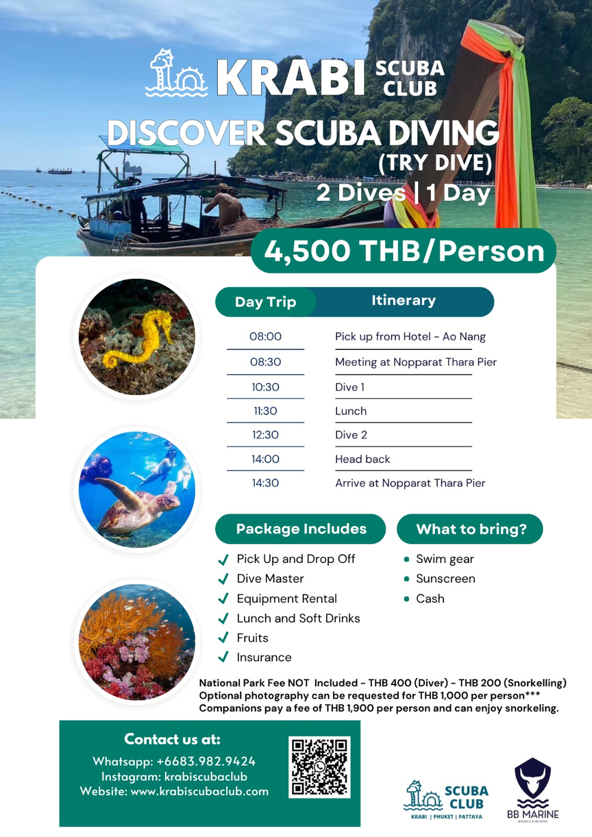 Discover Scuba Diving